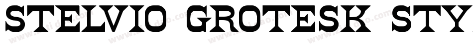 Stelvio Grotesk Styl字体转换